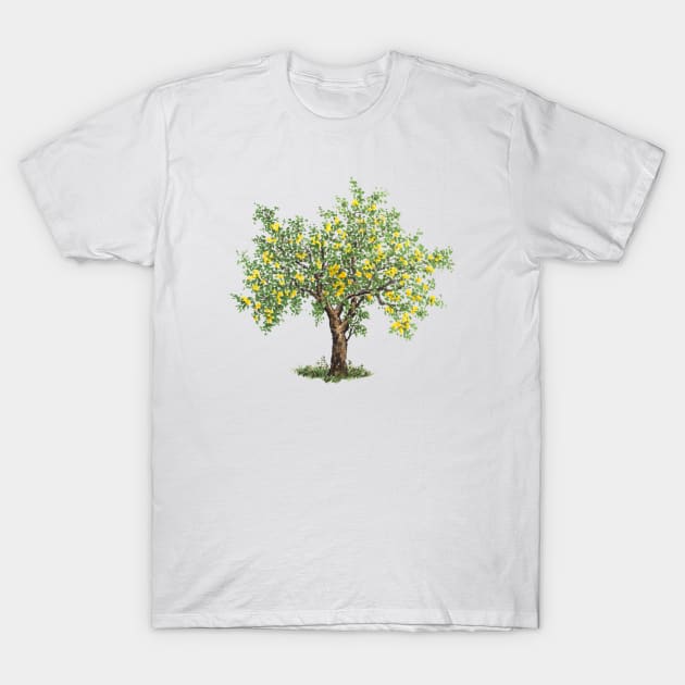 November birthday lemon tree T-Shirt by birthflower